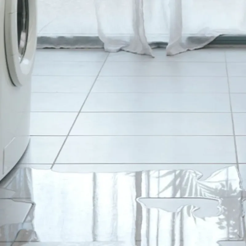 Appliance Leak Cleanup in Minorca, LA