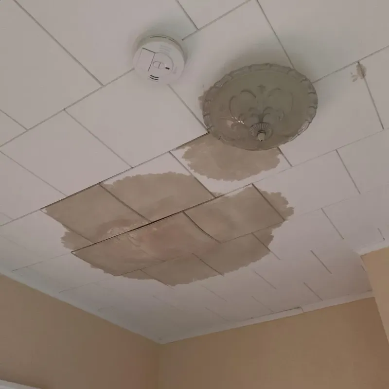Ceiling Water Damage Repair in Minorca, LA