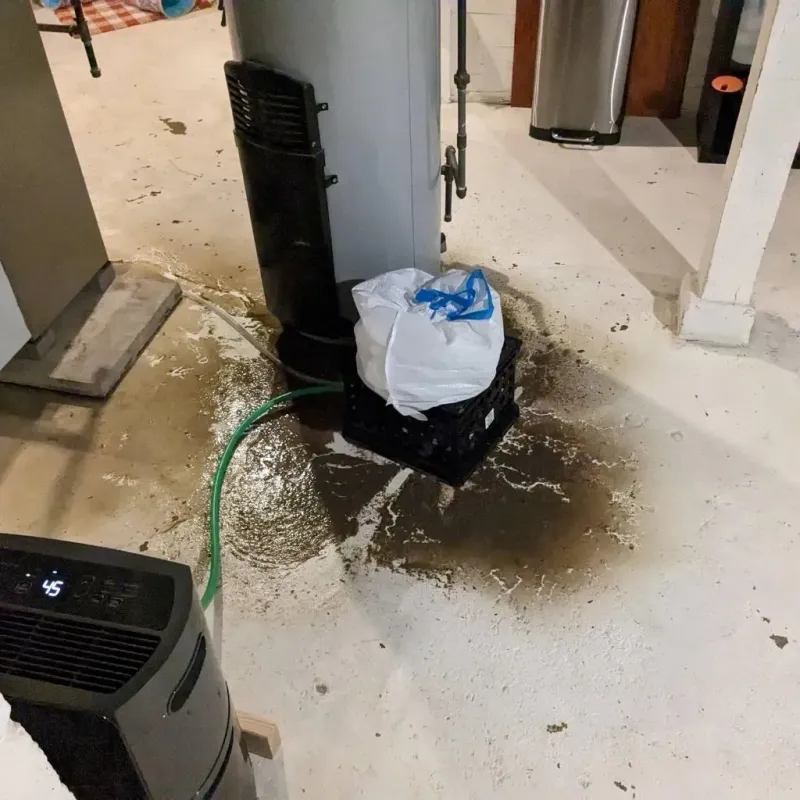 Sewage Backup Cleanup Service in Minorca, LA